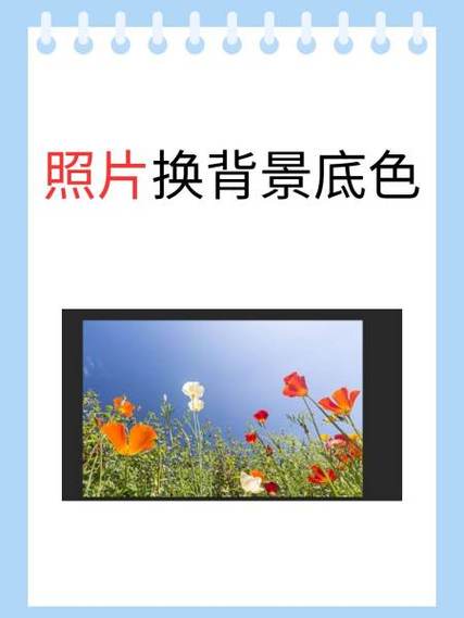 美图秀秀如何更改背景