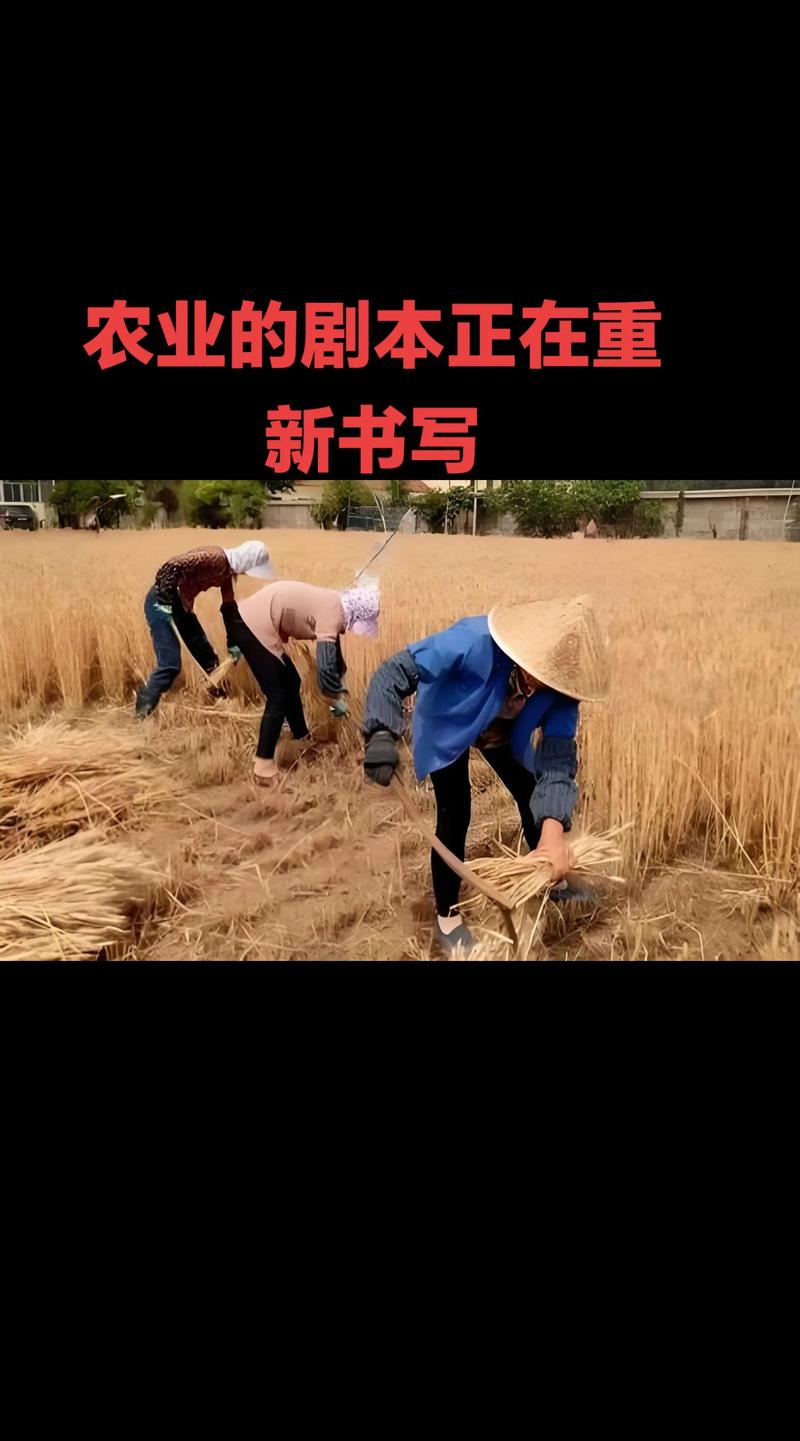 我的小农院图标