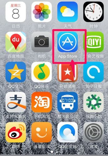 苹果应用商店下载安装缩略图