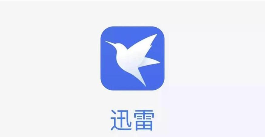 老版迅雷下载安卓版缩略图