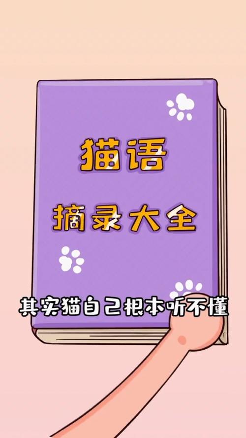 猫语大全100条声音