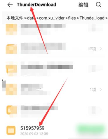 安卓迅雷下载文件位置缩略图