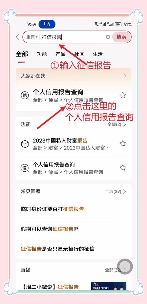 下载个人征信报告app游戏截图