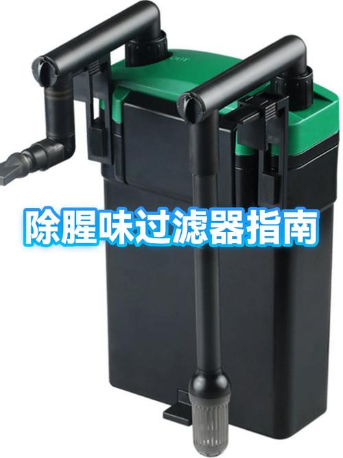 鱼缸里有腥味怎么去除腥味缩略图