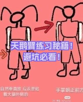 练天鹅臂的好处