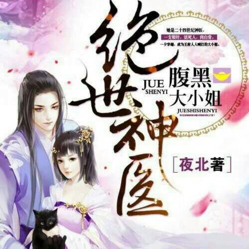 绝世神医腹黑大小姐有高位面吗缩略图