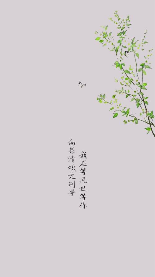 白茶清欢无别事完整的诗