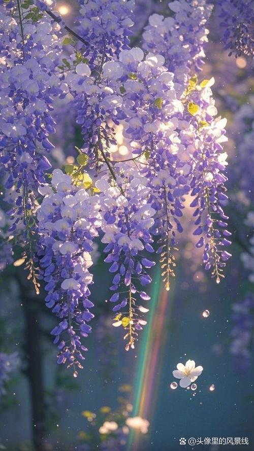 钟丽燕《紫藤花》缩略图