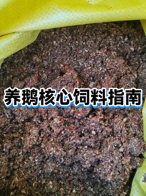 养鹅1000只下蛋投资多少钱图标