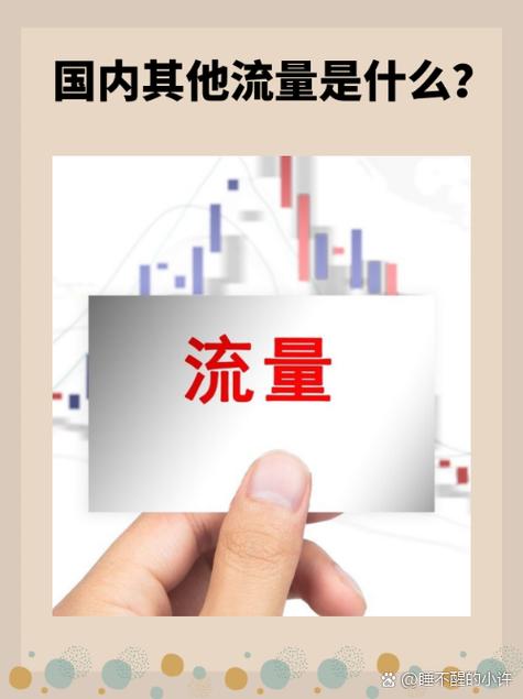国内其他流量指什么游戏截图