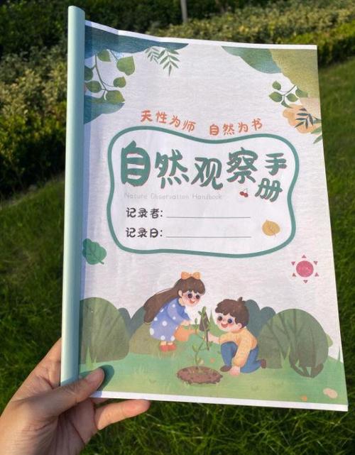 浮岛物语怎么获得法杖缩略图