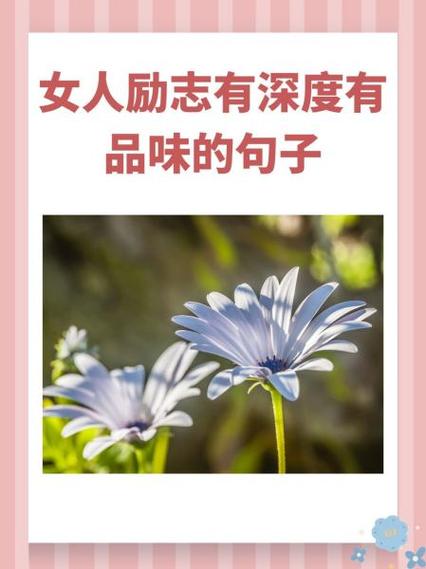 有内涵有深度的句子缩略图