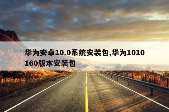 安卓10.0系统安装包缩略图