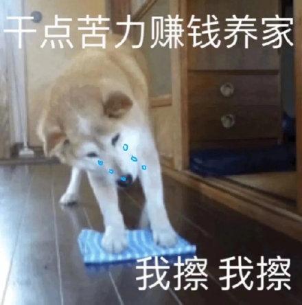 熊猫赚钱多多缩略图