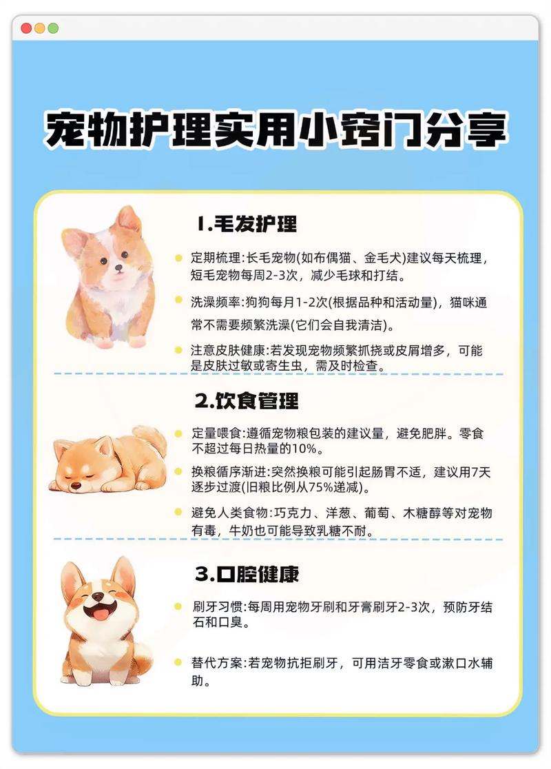仓鼠眼睛肿了怎么回事缩略图