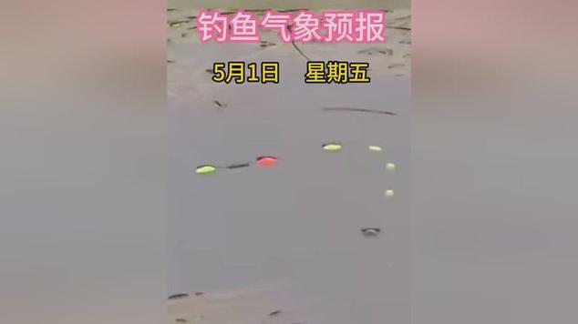 钓鱼气象预报app下载缩略图