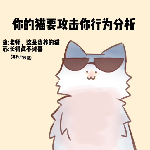 瓷爹猫猫表情包