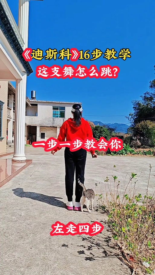 广场舞曲100首连播放缩略图