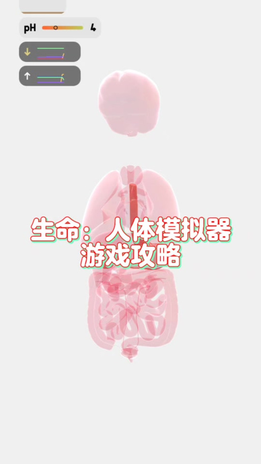生命life游戏官网图标