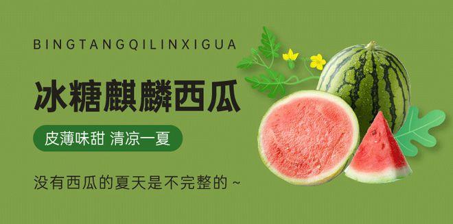 麒麟西瓜广告语游戏截图
