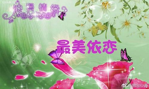 情缘聊天软件缩略图