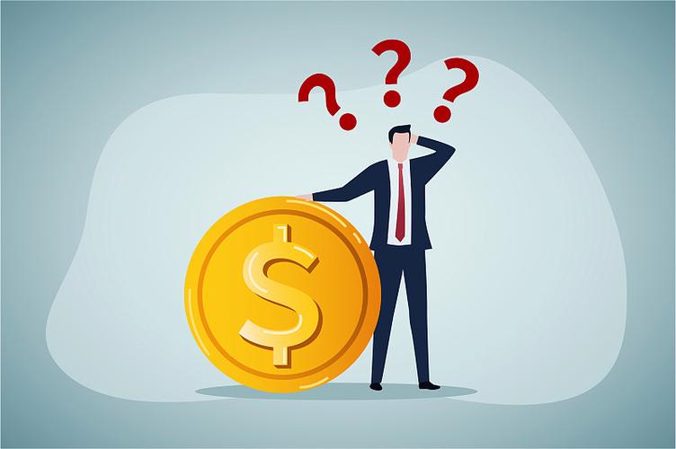 接受投资人的货币投资缩略图