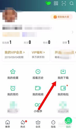 爱奇艺小视频怎么保存到手机图标