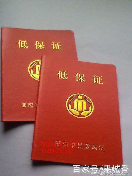 低保认证游戏截图