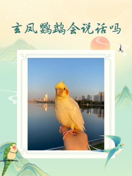 玄凤鹦鹉会说话吗游戏截图