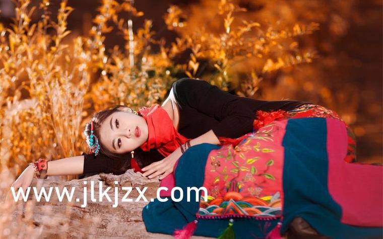 废文网小说阅读网站李鬼分站缩略图