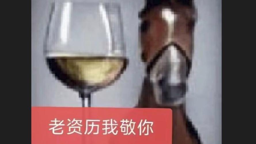 给老资历跪了表情包缩略图