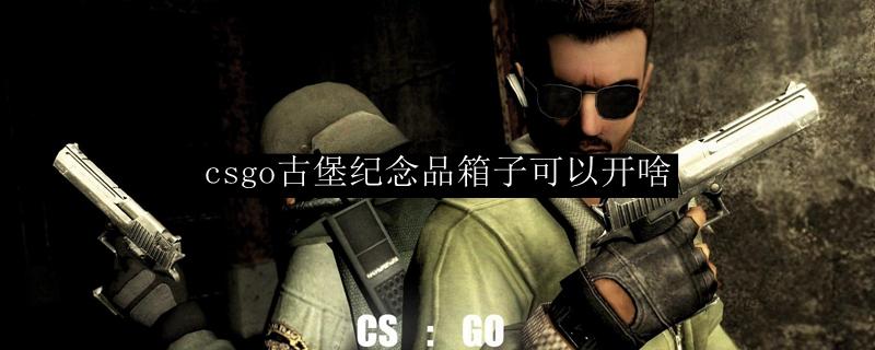 csgo古堡纪念品箱子可以开啥图标