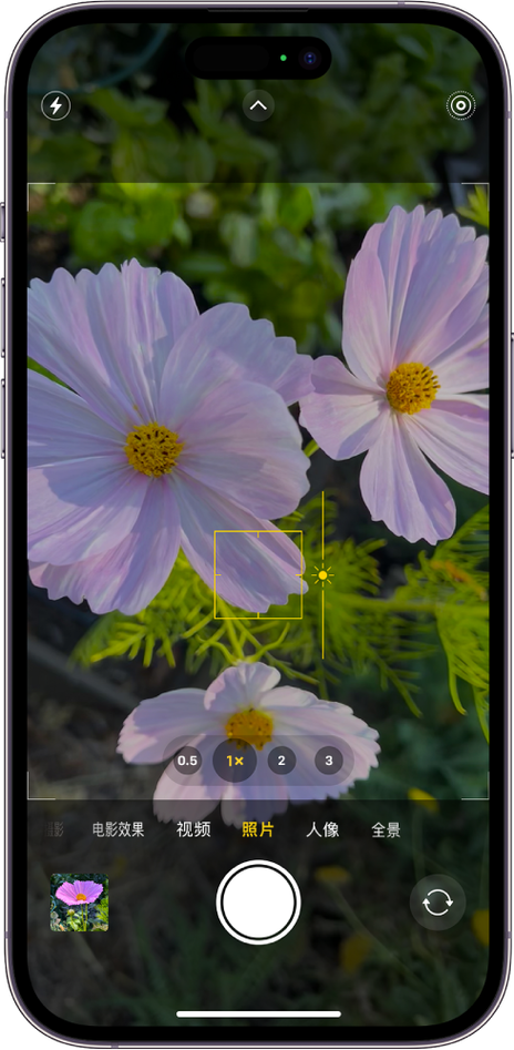 使用iphone相机改善照片的方法游戏截图