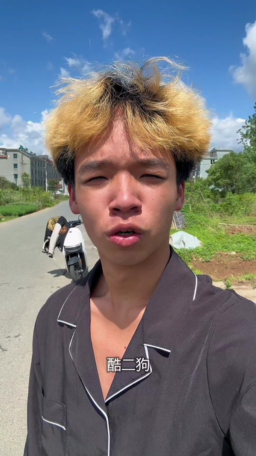 酷二狗vs天成图标