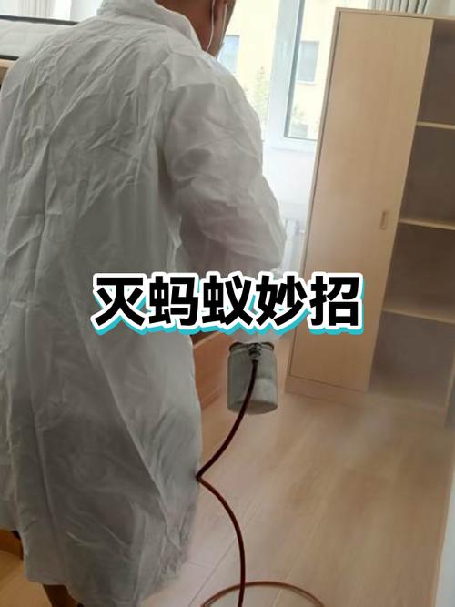 去蚂蚁的小妙招图标