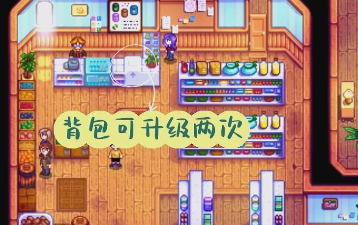 星露谷物语怎么回家