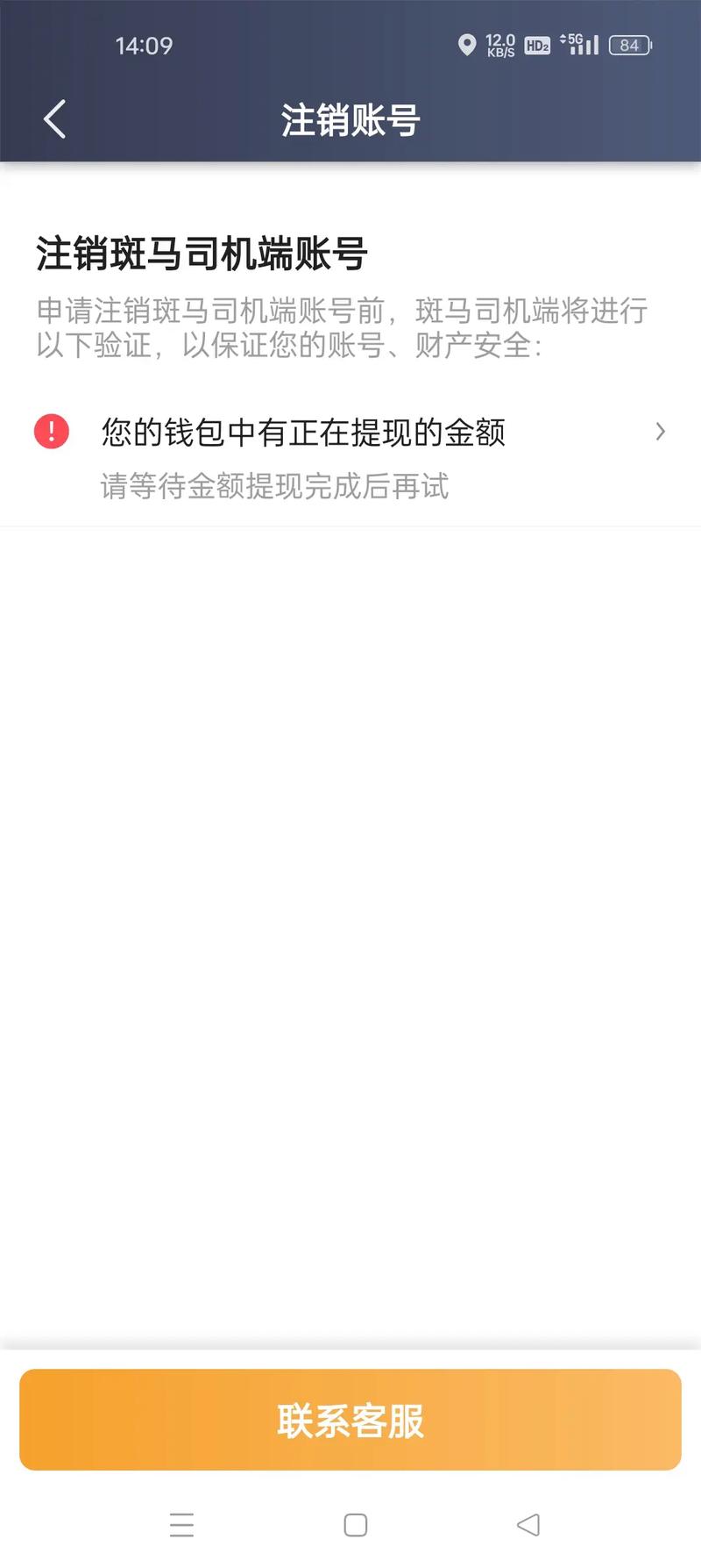 闲鱼提现到支付宝没到账游戏截图