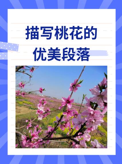 桃花绚烂时免费阅读缩略图