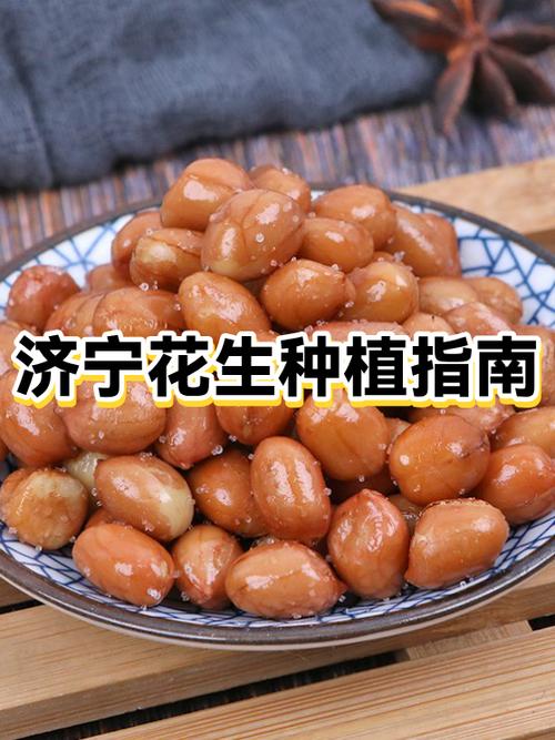 花生兼职缩略图