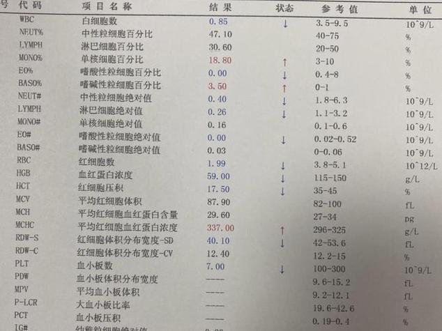 老滚5血液代码