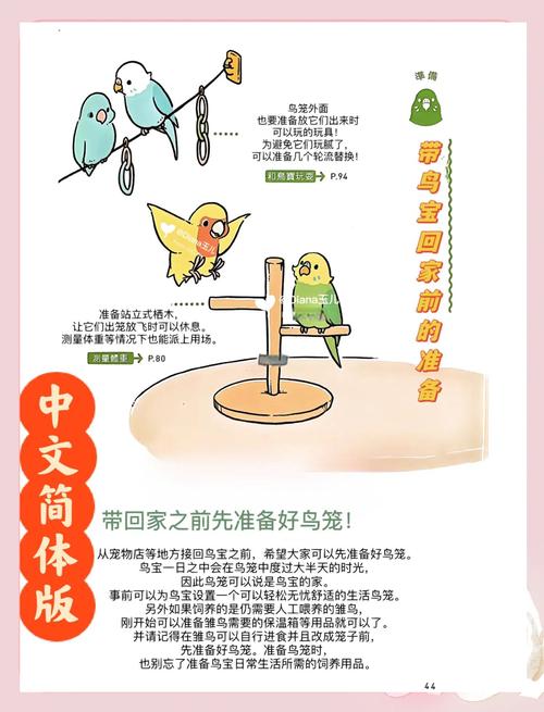 体型比较大的宠物鸟图标