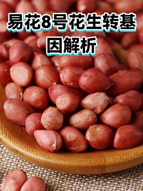花生转和奇异转缩略图