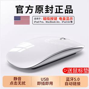 妙控鼠标支持ipadpro吗缩略图