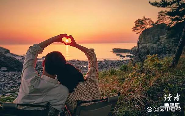理想的婚姻在线阅读游戏截图