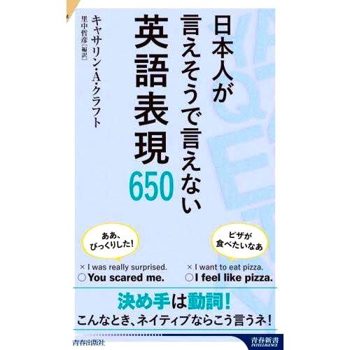 日本を言えないの什么意思缩略图