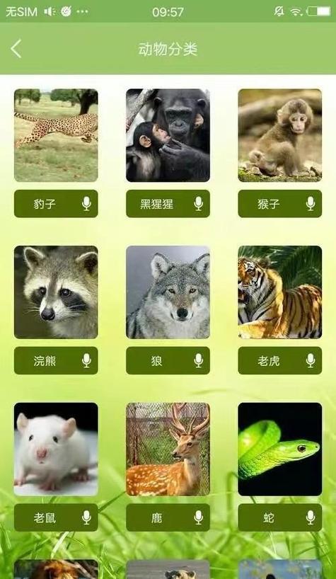 动物翻译语言图标