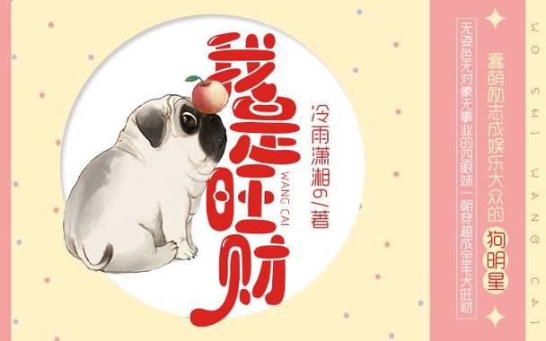 我是旺财缩略图