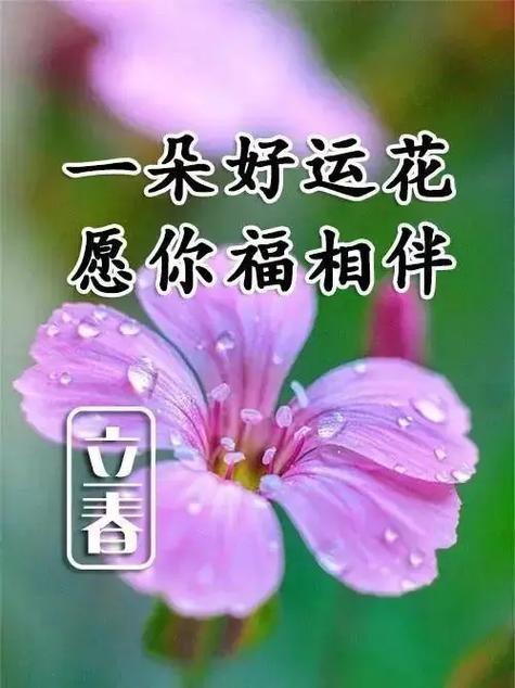 紫色的吉祥词