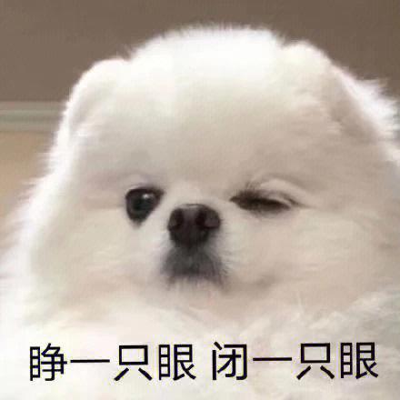 狗狗表情包大全游戏截图