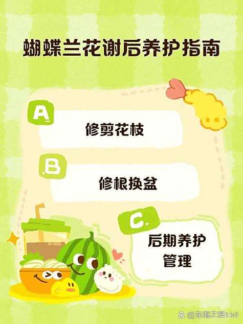 蝴蝶兰花败后如何养护和管理